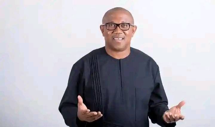 APC campaign council criticises Peter Obi over 2023 election claim