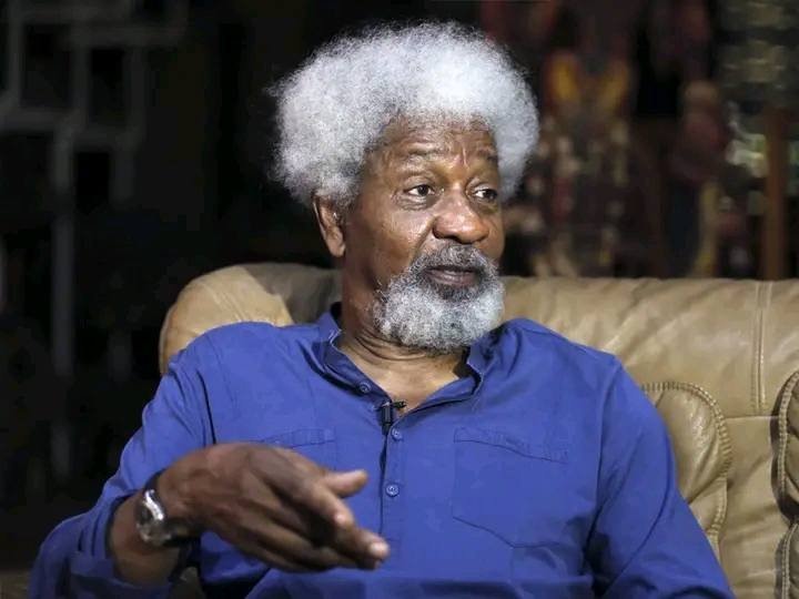 Soyinka warns AI could dehumanise society, urges scientists to protect human imagination